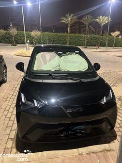 BYD Dolphin 2027