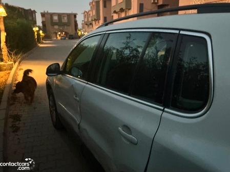 Volkswagen Tiguan 2010