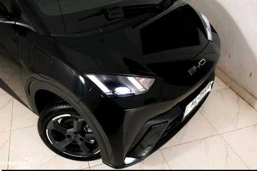 BYD Seagull 2024